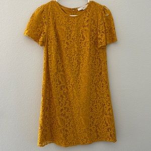 Ann Taylor Loft Lace Dress, size 0